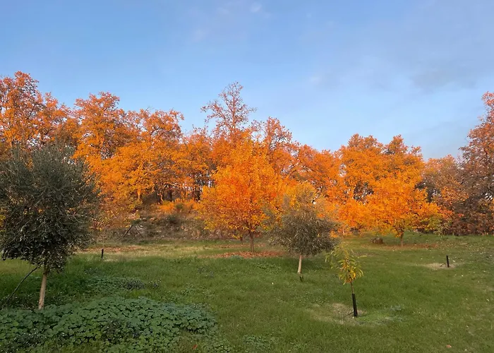 La Casita De La Corredera *